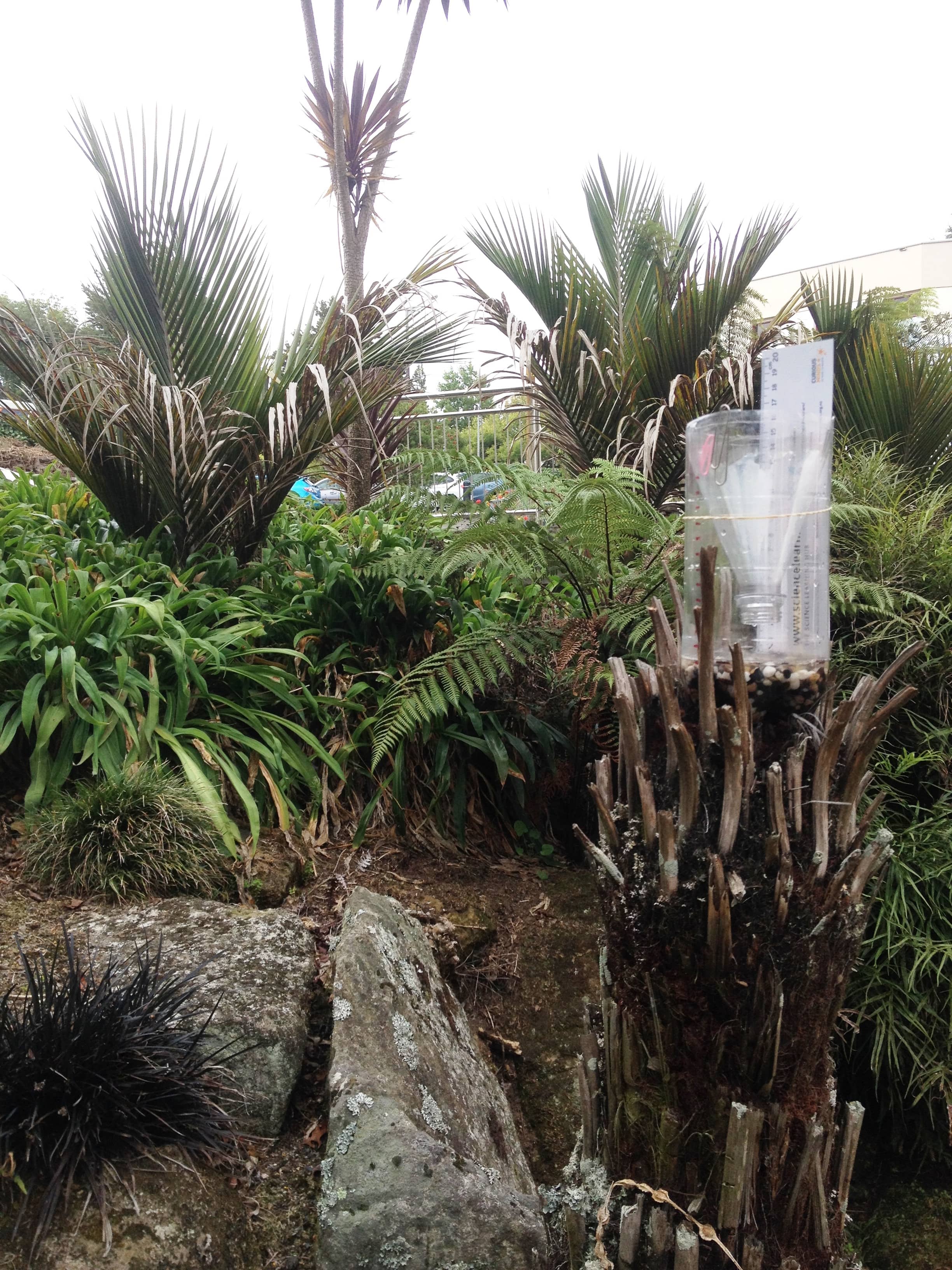 A simple rain gauge outside in a garden.