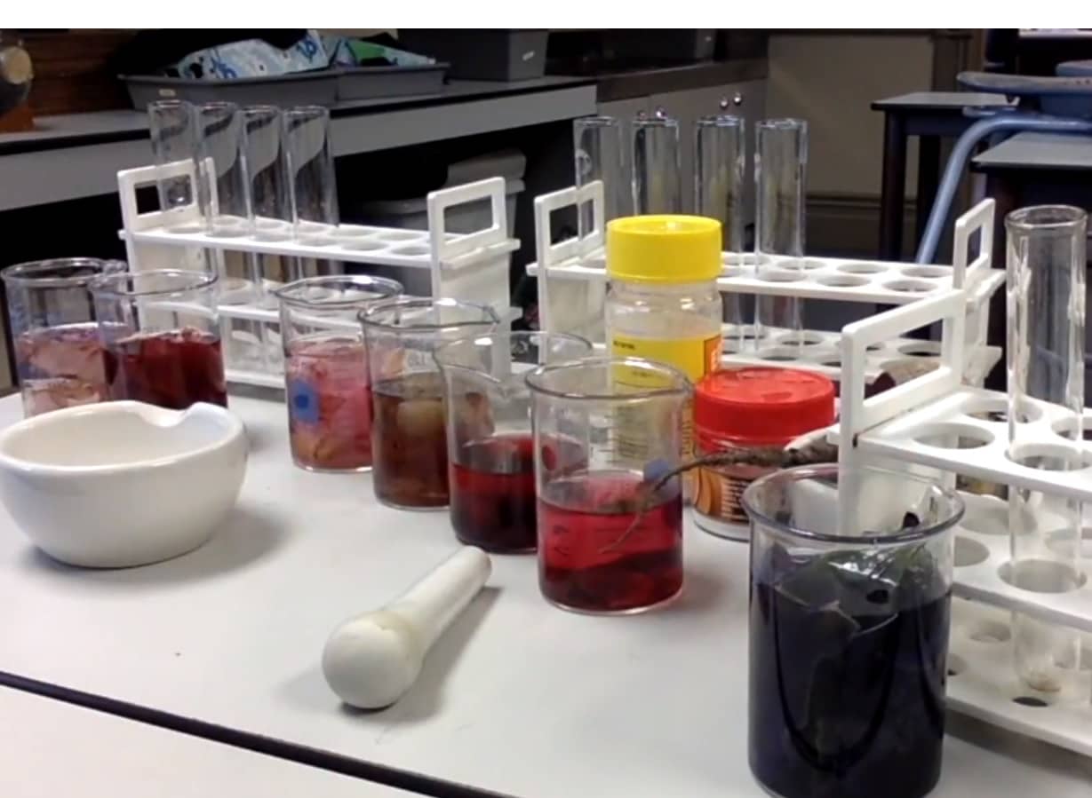Row of beakers containing a range of common materials to test pH
