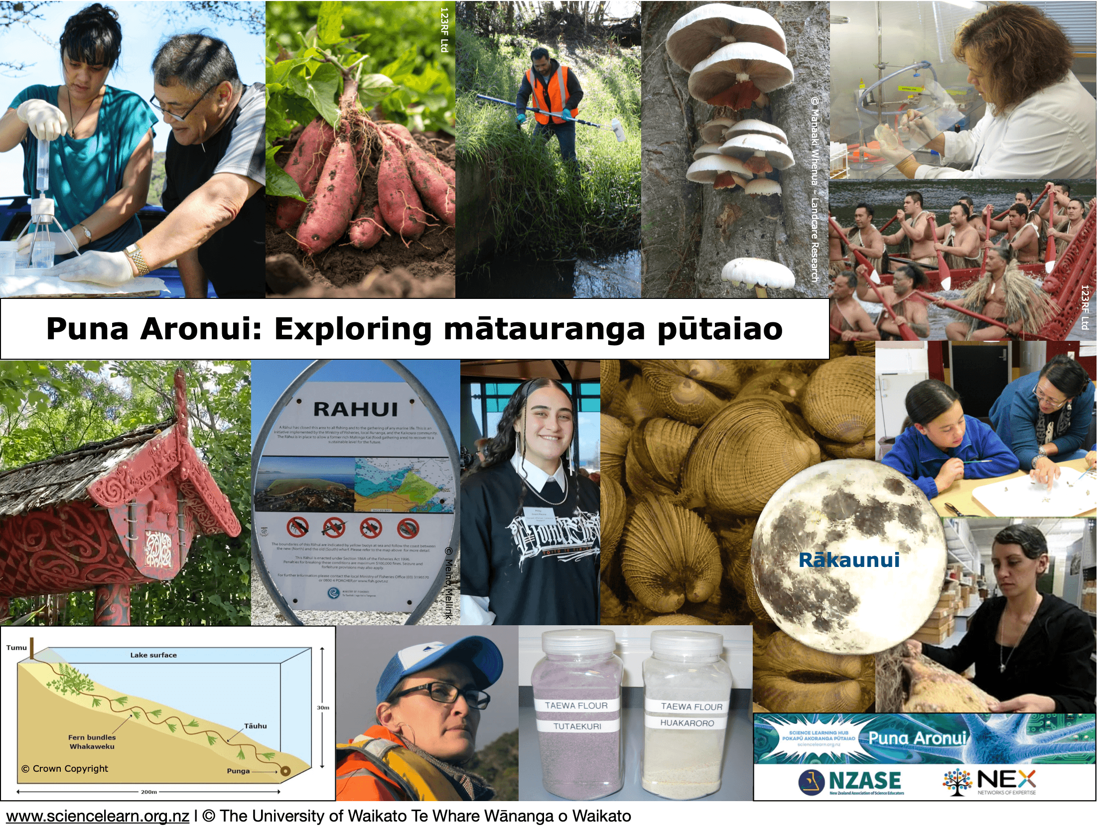 Photo collage of Māori scientists, nature, cockles, pātaka kai, kūmara, waka, rāhui sign, whakaweku placement diagram, taewa, Moon and fungi.