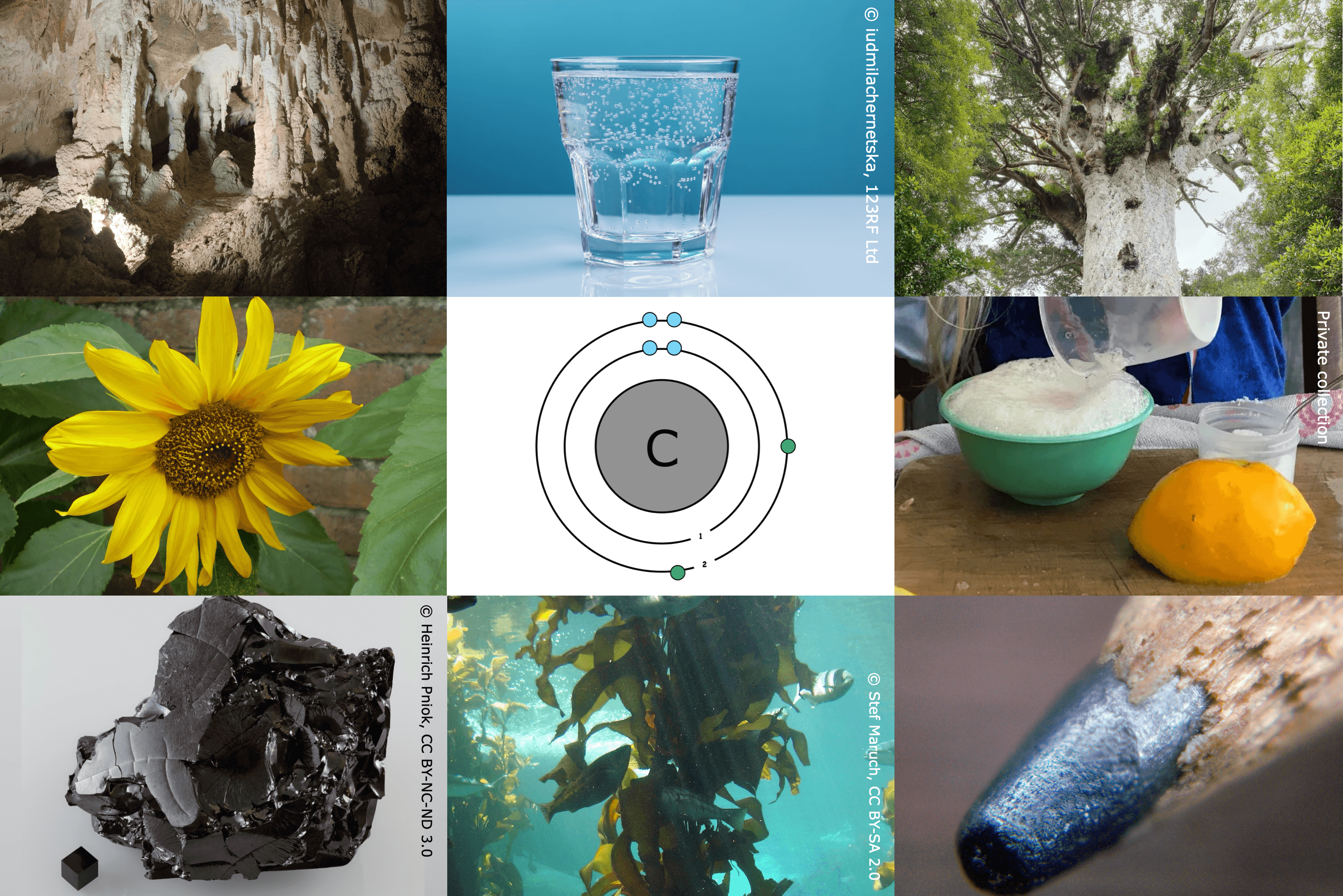 Collage of nine images connected to learning about carbon.