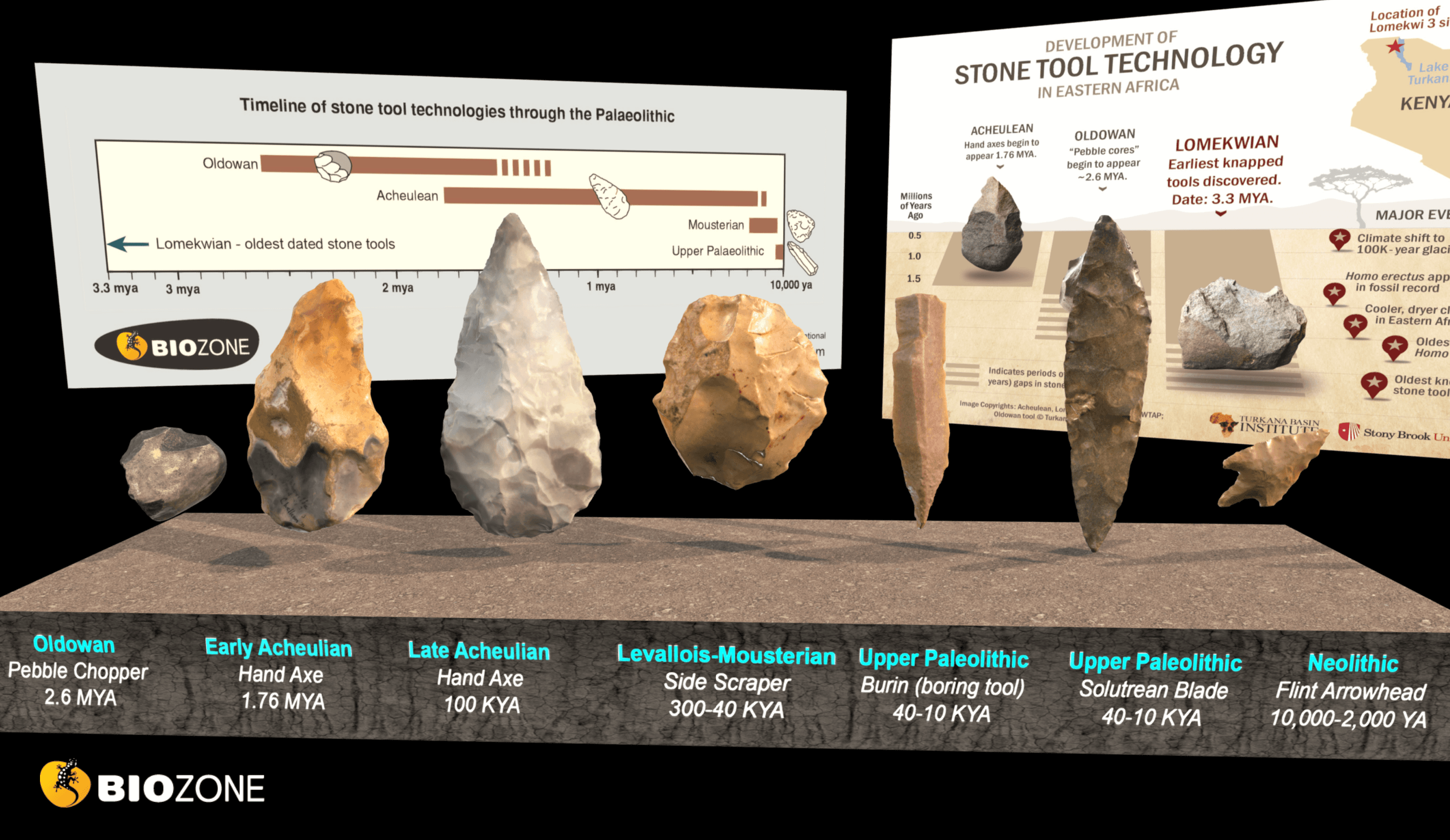 Seven stone tools that show a progression in early human technology.